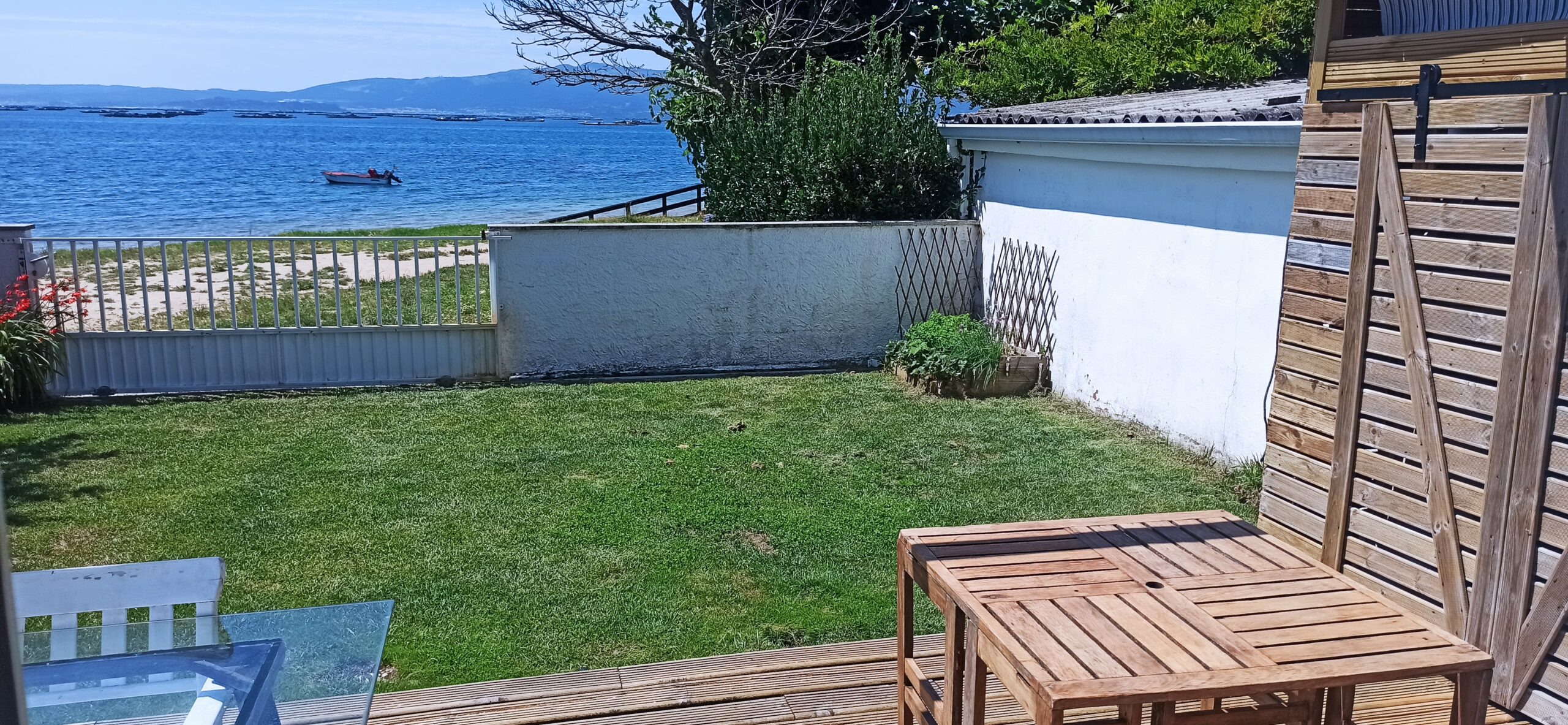 IMG_20240717_161457 patio grass area